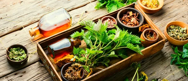 Hierbas Curativas Frescas Secas Plantas Medicinales Medicina Herbal Homeopatía —  Fotos de Stock