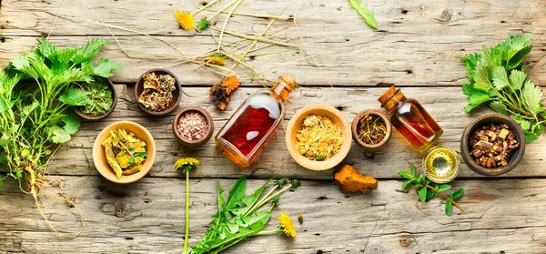 Taze ve kuru şifalı bitkiler ve şifalı bitkiler. Bitkisel ilaçlar, homeopati.