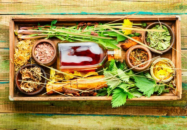 Conjunto Hierbas Curativas Frescas Secas Plantas Medicinales Hierbas Curativas Una —  Fotos de Stock