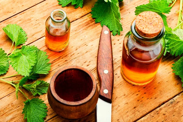 Nettle Extract Bottle Fresh Nettle Leaves Urtica Dioica Stinging Nettle — Stock Photo, Image