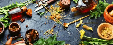 Şifalı bitkiler ve şifalı bitkiler. Geleneksel Çin ilaçları, bitkiler. Bitkisel ilaçlar, homeopati.