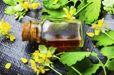Şişe içinde celandin tentürü. Alternatif ilaç. İlaç bitkisi Celandine..