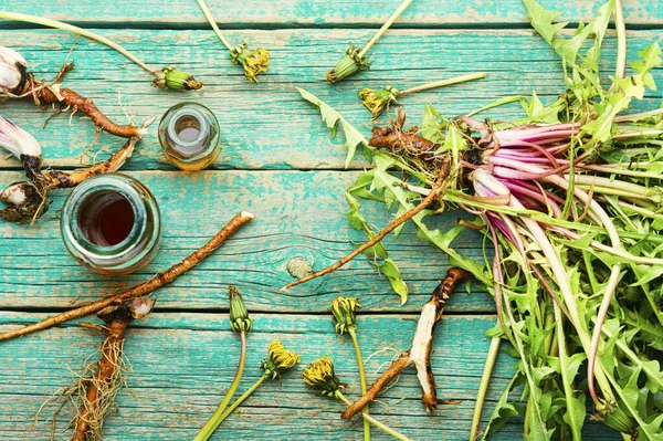 Bouteille Avec Teinture Pissenlit Taraxacum Plantes Médicinales Racine Pissenlit — Photo