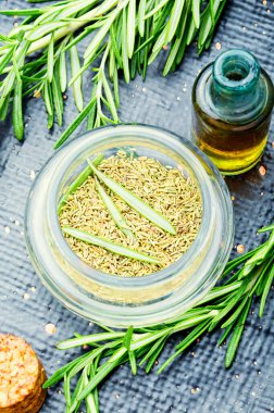 Taze biberiyeli gerekli yağ şişesi. Bitkisel ilaç.