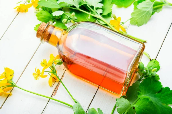 Επούλωση Βάμμα Σελαντίνης Ένα Μπουκάλι Εναλλακτική Ιατρική Φαρμακευτικό Φυτό Σελαντίνη — Φωτογραφία Αρχείου