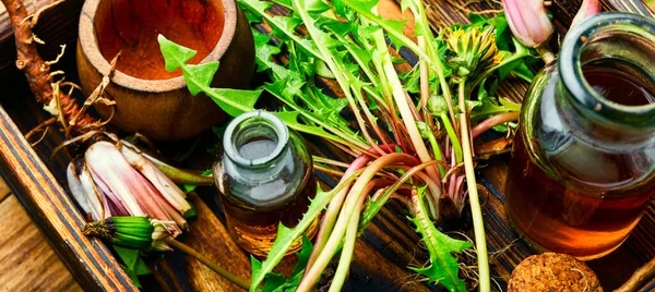 Tintura Diente León Taraxacum Plantas Medicinales Raíz Diente León Medicina — Foto de Stock