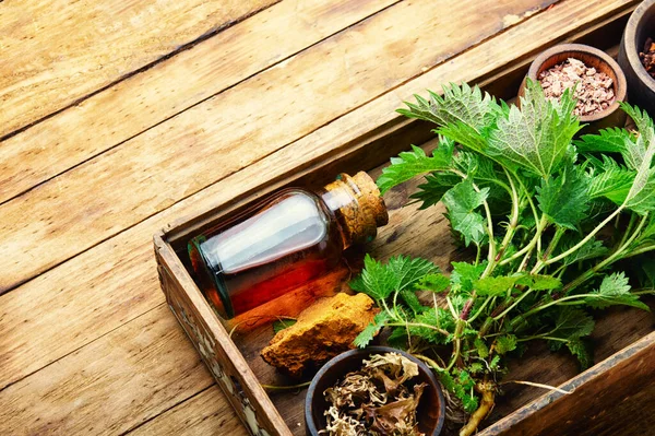 Obat Segar Dan Kering Penyembuhan Herbal Dan Tanaman Medis Obat — Stok Foto