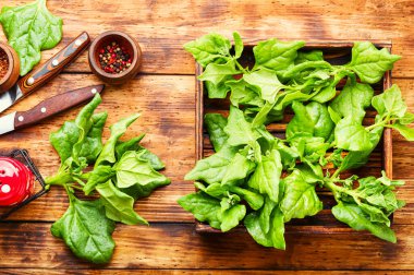 Kırsal ahşap masada taze ıspanak yaprakları