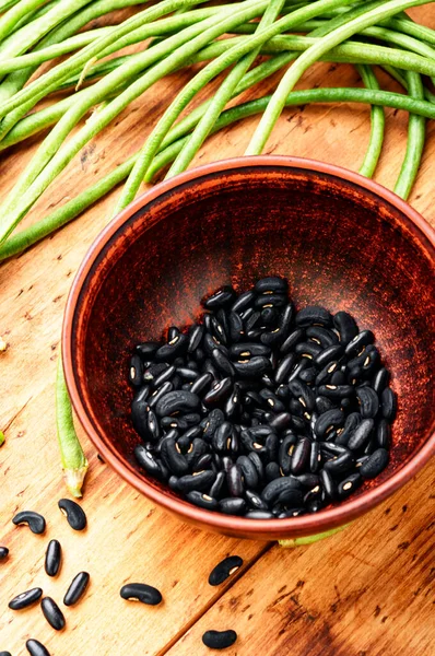 Vigna Vainas Guisantes Judíos Planta Vegetal Popular Comida China — Foto de Stock