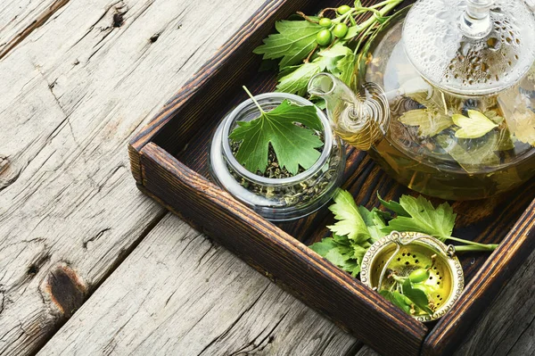 Brewed Herbal Tea Stylish Glass Teapot Currant Leaf Tea Herbal — Stock Photo, Image