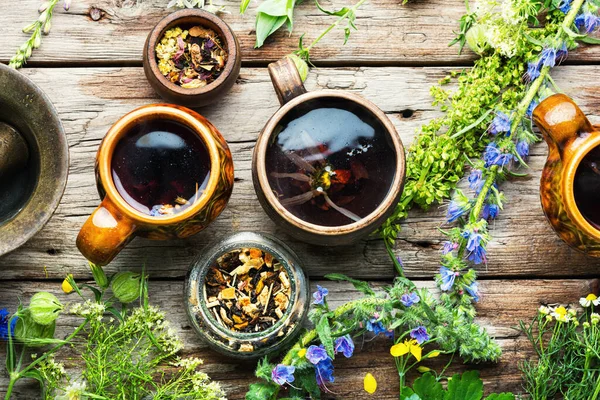 Vadon Termő Gyógynövényekből Virágokból Készült Szezonális Tea Gyógynövénygyógyászat — Stock Fotó
