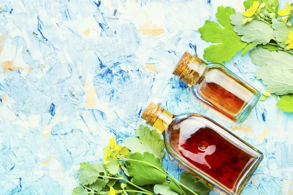 Şişe içinde celandin tentürünün iyileştirilmesi. Alternatif ilaç. İlaç bitkisi Celandin.