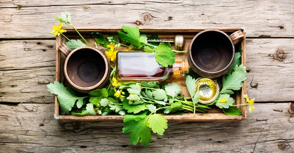 Healing Tincture Celandine Bottle Herbal Healing Tea — Foto de Stock