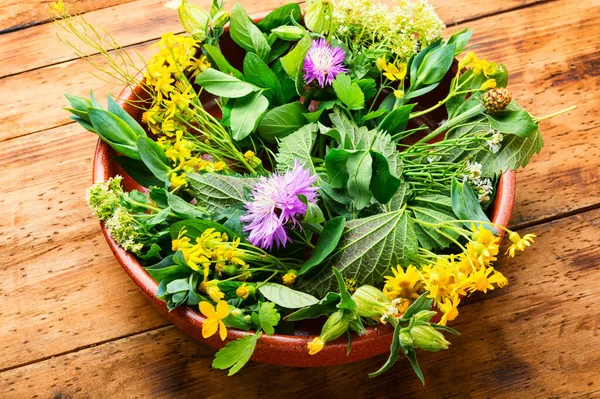 Alternative Medicine Set Medicinal Herbs Flowers Natural Medicine Homeopathy — Stock Photo, Image