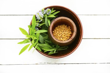 Beyaz arka planda taze bitki bulunan çemen ağacı tohumları