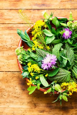 Alternatif tıp, şifalı bitkiler ve çiçekler. Doğal tıp ve homeopati.