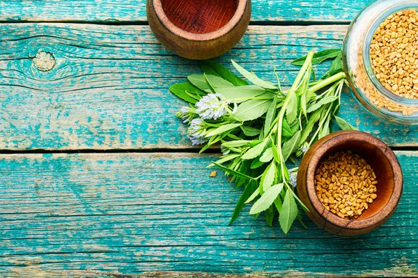 Fenegriek Zaden Met Verse Planten Ruimte Voor Tekst — Stockfoto