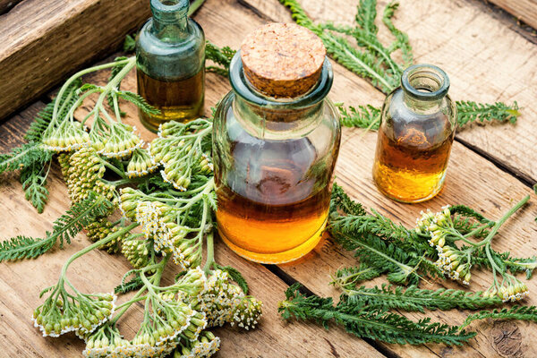 Jar of yarrow tincture,medicinal herbs.Herbalism and herbal medicine.Medicinal wild herb on wooden table