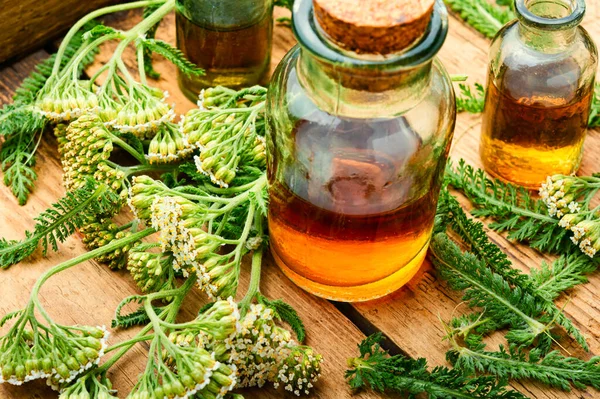 Кувшин Ярроу Tincture Medicine Лекарственных Трав Herbs Herbalism Травяной Медицины — стоковое фото