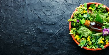 Bottle of medicinal wild herbs healing tincture.Herbal medicine.Copy space