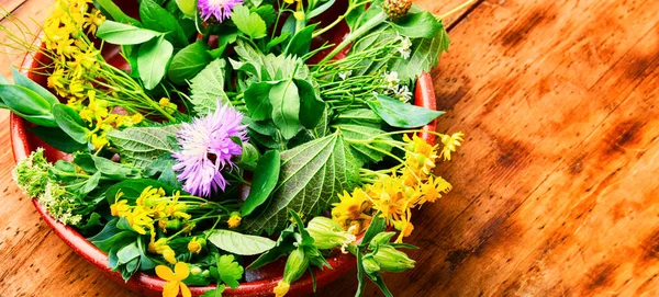 Alternative Medicine Set Medicinal Herbs Flowers Natural Medicine Homeopathy Wooden — Fotografia de Stock