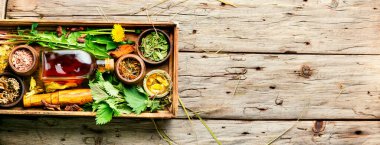 Set of fresh and dry healing herbs and medicinal plants.Space for text