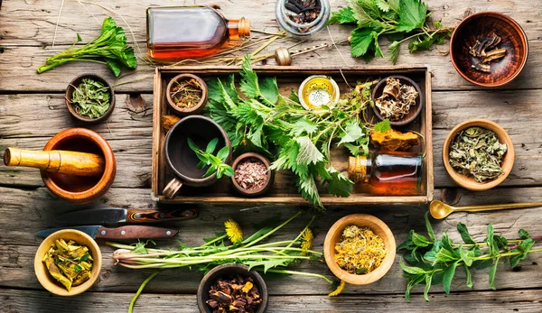 Frische Und Trockene Heilkräuter Und Heilpflanzen Heilkräuter Auf Rero Holzgrund — Stockfoto