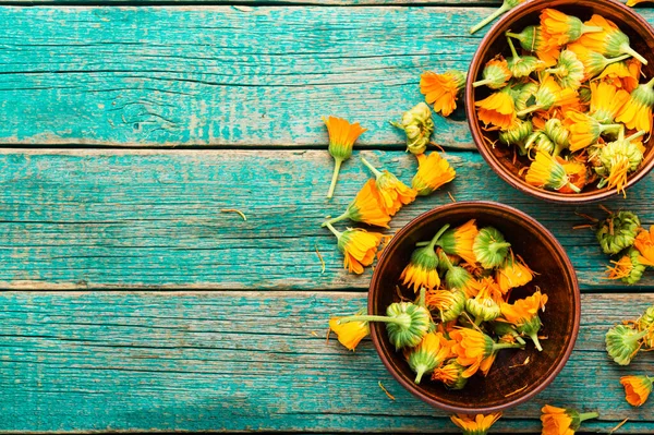 Fresh Calendula Flowers Herbal Medicine Marigold Healing Herbs Copy Space — Stock Photo, Image