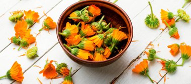 Bitkisel ilaçta taze takviye çiçeği. Kadife çiçeği, şifalı bitkiler. Çin bitkisel ilaçları.