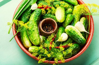 Bir tabak ev yapımı tuzlu salatalık. Yemek pişirme süreci, konserve salatalık.