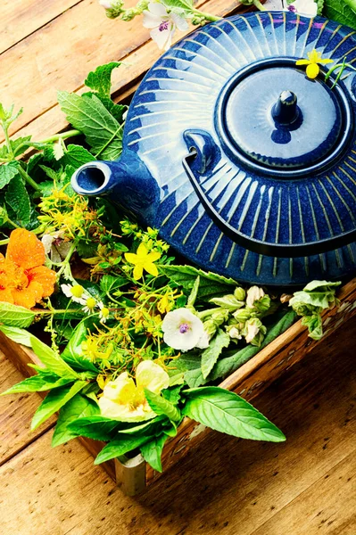 Healing Herbal Tea Teapot Tea Made Fresh Wild Herbs Herbal — Stock Photo, Image