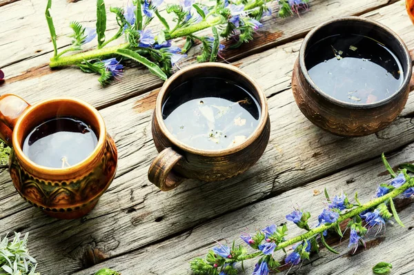 Seasonal Healthy Tea Made Wild Medicinal Plants Flowers Herbal Medicine — Stock Photo, Image