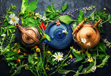 Yabani şifalı bitkilerden yapılmış bitki çayı. Bitkisel ilaç ve homeopati. İlaç fabrikası..