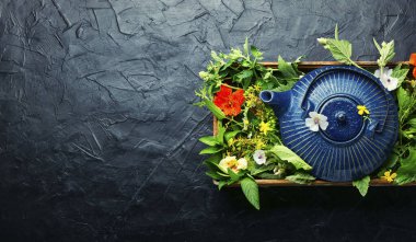 Yabani şifalı bitkilerden yapılmış bitki çayı. Bitkisel ilaç ve homeopati. İlaç fabrikası. Uzayı kopyala