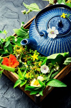 Bitki çayını iyileştiriyorum. Çaydanlık taze yabani otlardan yapılmış. Bitkisel ilaçlar. Bitki çayı..