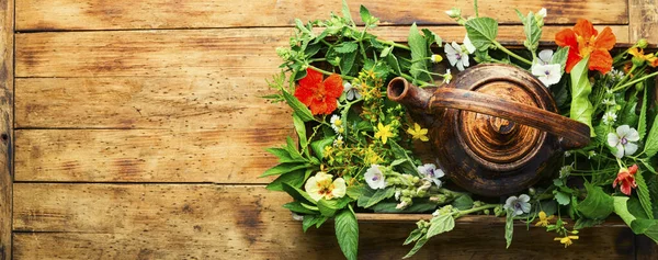 Heilender Kräutertee Teekanne Mit Tee Aus Frischen Wildkräutern Kräutermedizin Kräutertee — Stockfoto