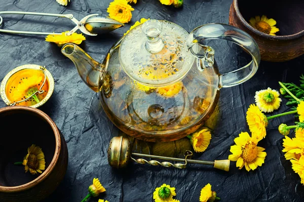 Healing Flower Tea Teapot Chrysanthemum Flower Tea Herbal Medicine Brewing — Stock Photo, Image