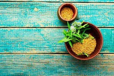 Taze ekili Çemen otu tohumları. Yazı için yer var.