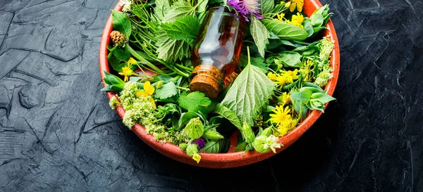 Botella Hierbas Medicinales Silvestres Curación Tintura Herbal Medicina — Foto de Stock