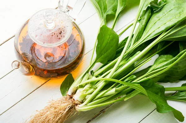Gyógyító Növénytea Üvegteáskanna Gyógynövényes Teával Természetes Gyógynövénykészítmények — Stock Fotó