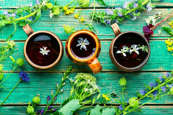 Εποχιακό Τσάι Από Άγρια Φαρμακευτικά Φυτά Και Άνθη — Φωτογραφία Αρχείου