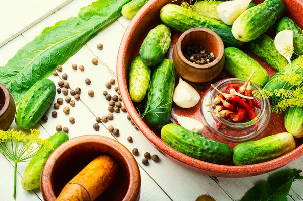 Salteado Caseiro Cucumbers Cooking Process Canned Gherkin Marinated Vegetable Preparation — Fotografia de Stock