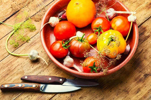 배경에 토마토 통조림된 Tomatoes Pickled — 스톡 사진