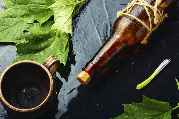 Datura Medicintinktur Glasflaska Örtmedicin — Stockfoto