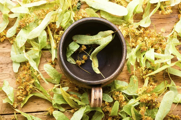 Taza Arcilla Follaje Fresco Las Inflorescencias Linden Herbal Medicina Homeopathy — Foto de Stock