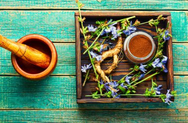 Kırsal ahşap arka planda hindiba kökü ve hindiba çiçekleri. Alternatif ilaçta yabani bitki. Cichorium intybus