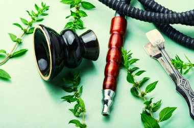Nane aromalı doğu nargilesi. Naneli mis kokulu shisha.