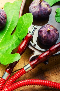 Meyve tütünlü oryantal nargile. Modaya uygun nargile. İncirli nargile.