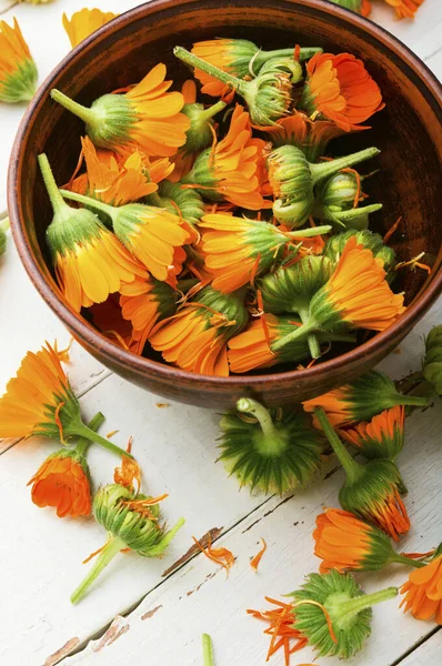 Flores Frescas Caléndula Medicina Herbaria Caléndula Hierbas Curativas Concepto Medicina — Foto de Stock