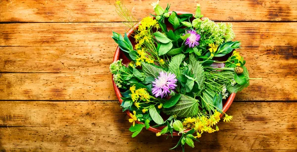Alternative Medicine Set Medicinal Herbs Flowers Natural Medicine Homeopathy — Stock Photo, Image